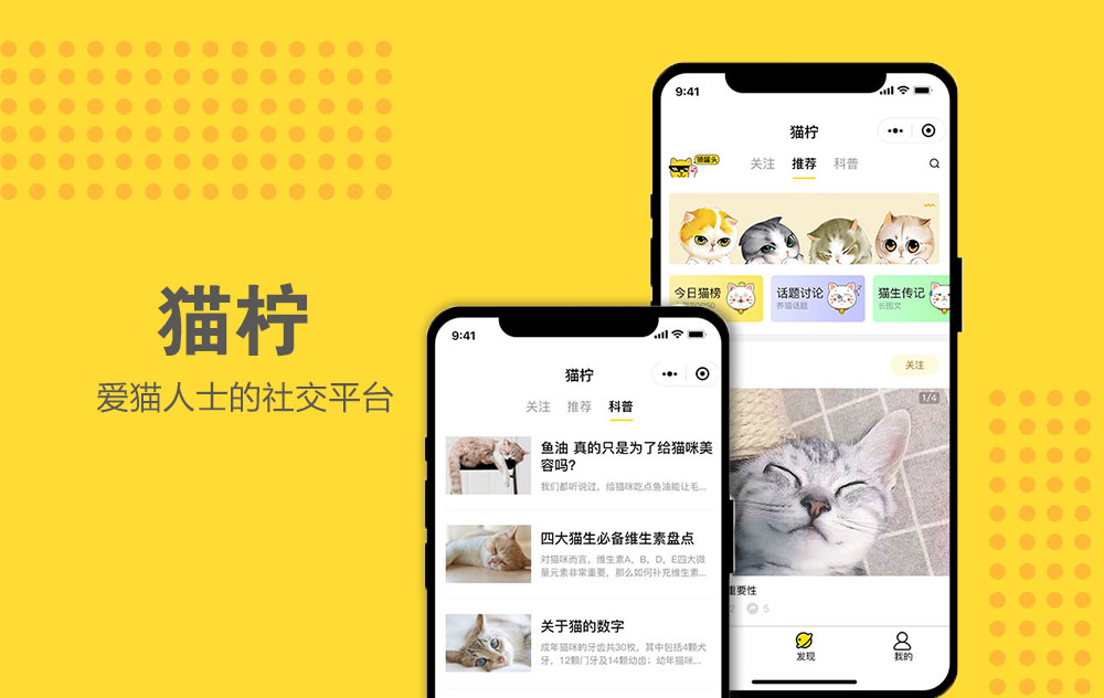 猫拧
